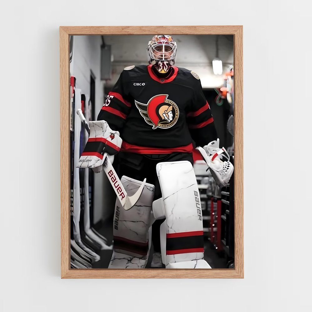 Poster L'Esprit des Sénateurs – affiche Hockey sur glace (vue 4)